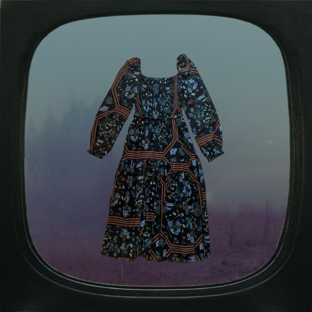 NWOT aritzia wilfred printed midi grace dress